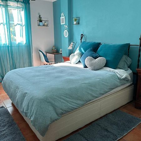 La Quinta Suite Bed&Breakfast Santa Úrsula Extérieur photo