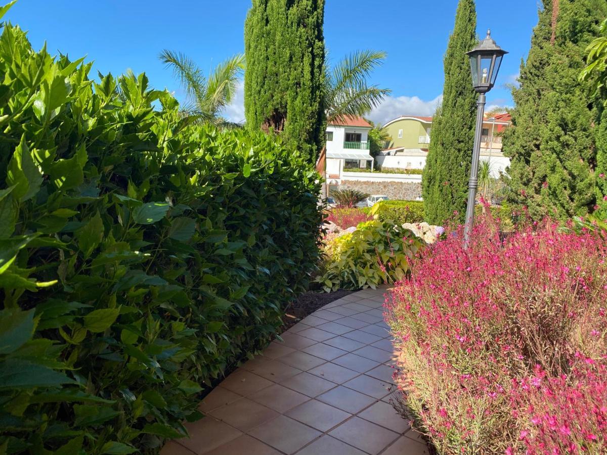 La Quinta Suite Bed&Breakfast Santa Úrsula Extérieur photo